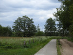 Mokkelengoor
